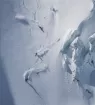 onlineshop, helicopter flight, heliski