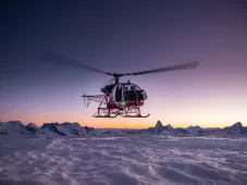 Air Zermatt, Helicopter Day, Lama, Auktion