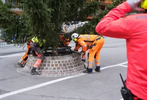 Christbaum, Tannenbaum, Air Zermatt, Transport, Weihnachten